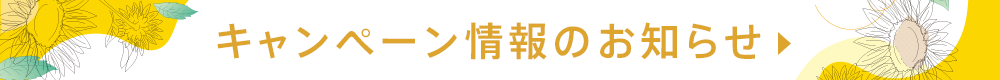 8月キャンペーン情報