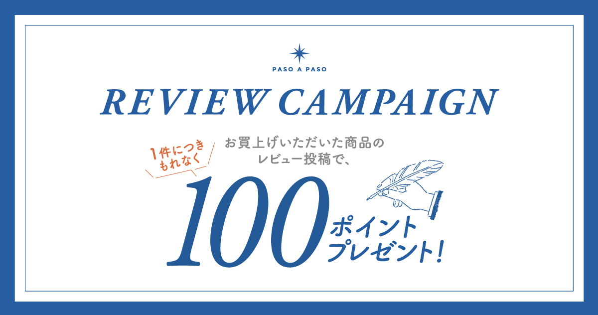 商品到着後、レビュー投稿で100ポイントプレゼント